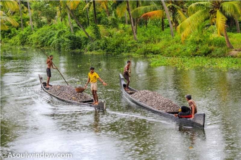 Vembanad Lake-Relax Amidst This Beautiful Kerala Backwater In Kumarakom With Your Family