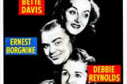 Ver The Catered Affair Cine Online Gratis en Español