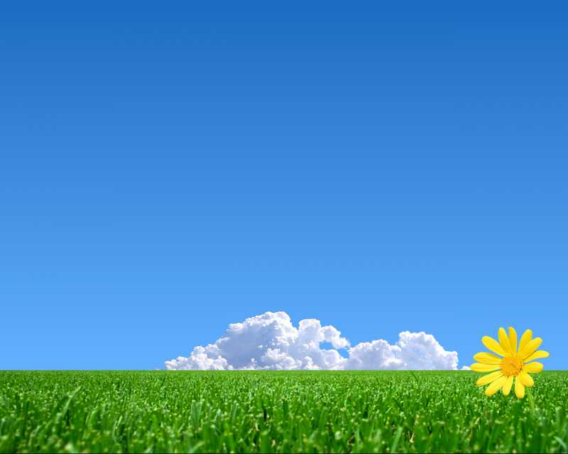 Very Important Health  Tips