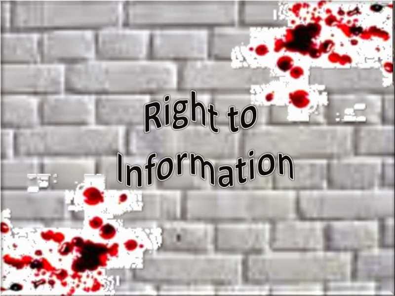 Victimization Of Rising Voices In India