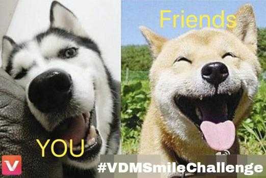 VidMate VDM Smile Challenge - Win Rs. 500 Paytm Cash - ContestNews