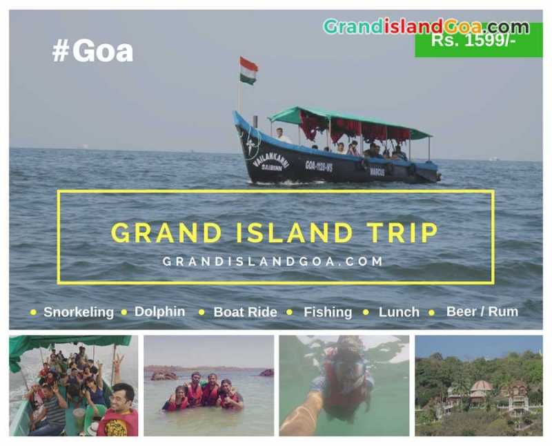 Video - Dolphin Spotting - Goa, On The Way To Grand Island - Dolphin Boat Safari