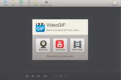 VideoGIF Review & Rating
