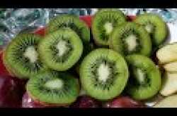 Vidhan Garden | Bidhan Garden Banquet | Banquet Hall | Wedding Venue | Kolkata | Video Tour | Review