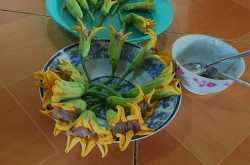 Vietnam Sightings Part 2 - Food Trails, Cooking Lessons, Exotic Food - YellowPeriscope