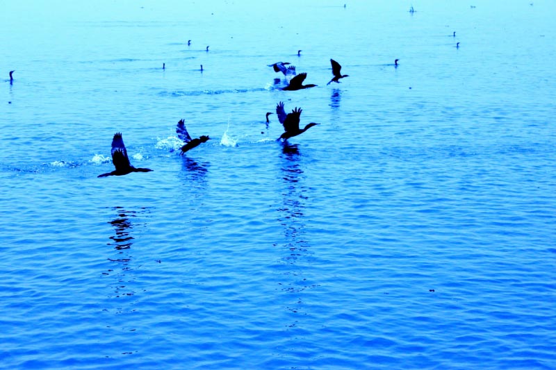 View At Kerela Back-waters