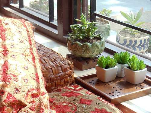 Vignettes Of Beauty In Reshma