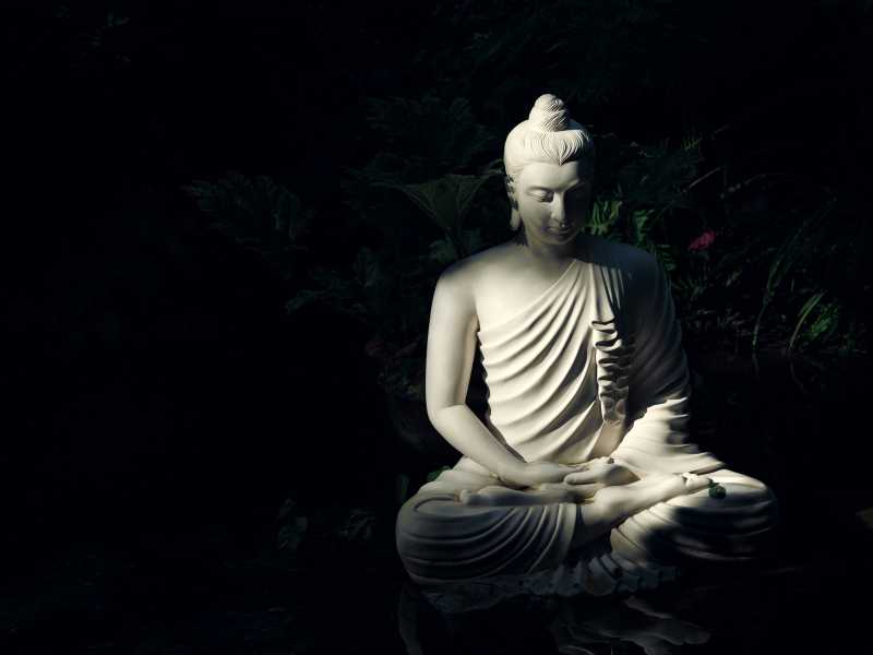 Vipassana - A Meditative Transformation