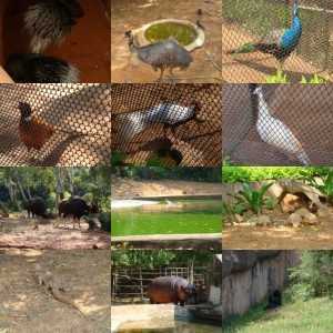 Visakhapatnam Chronicle Part 3