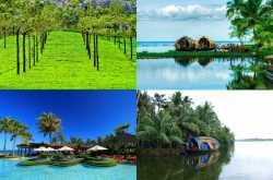 Visit One Of The Oldest Harbours In India - Things To Do In Kochi