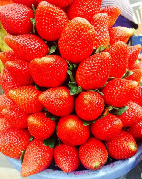 Visiting Malcom Peth Or Popularly Mahabaleshwar