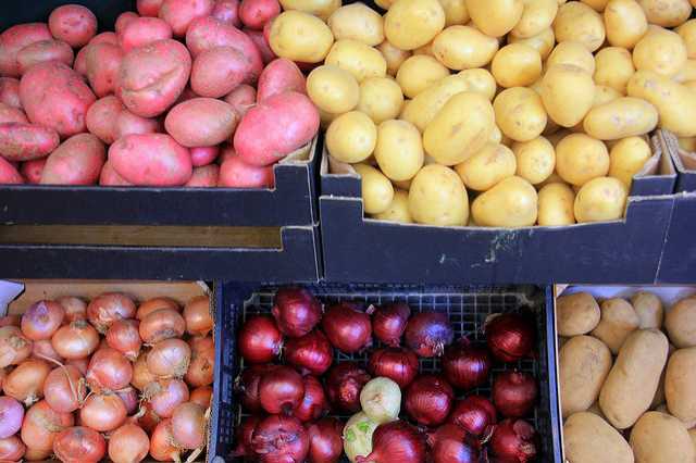 Visiting The Girona Food Market