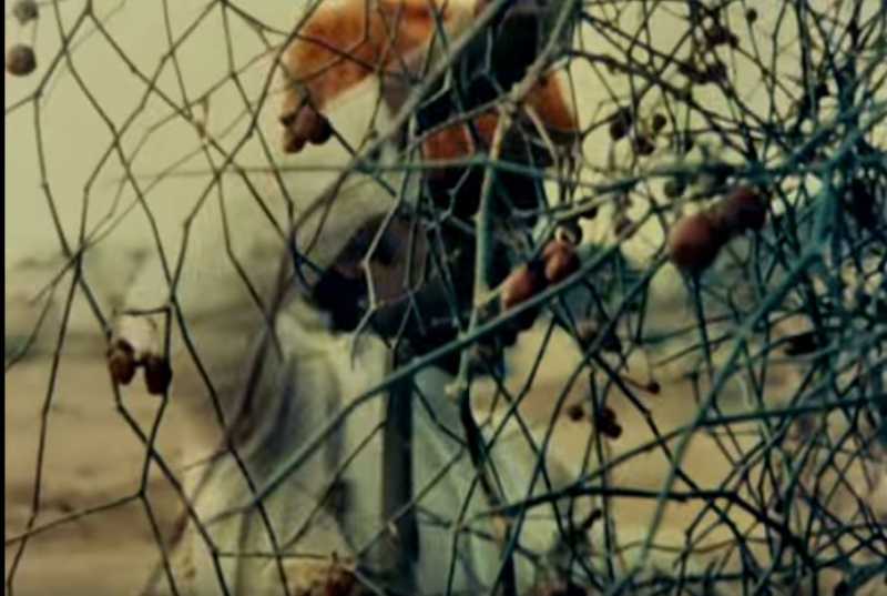 Visual Delight -- Duvidha