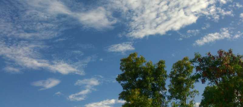 Vivid Colors After Rain