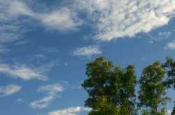 Vivid Colors after Rain