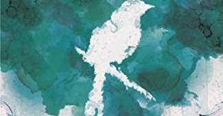 Voice Of The Soul By Shreyans Kanswa