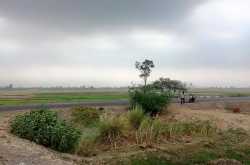 WCD 17 June 2017 Chronic Watery Diarrhea And Photo-sensitivity