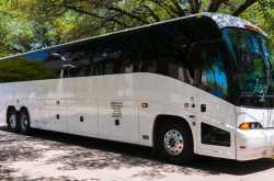 what to look for in bus charter