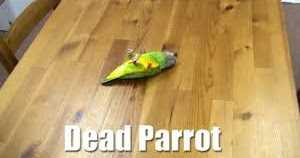 WHEN THE SKIES BREATHED A SOULFUL NOTE