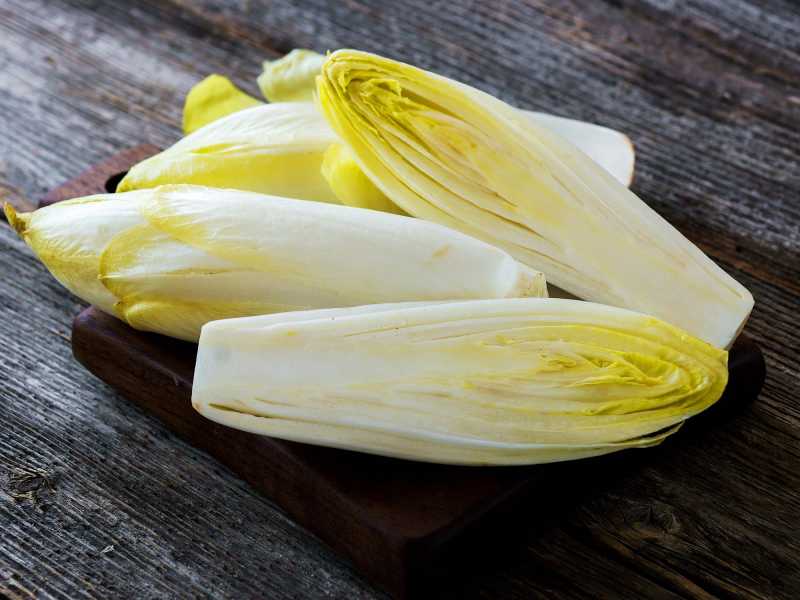 WORD OF THE DAY : WITLOOF