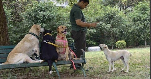 WORDLESS WEDNESDAY-Daddy And Us And WHO??!!