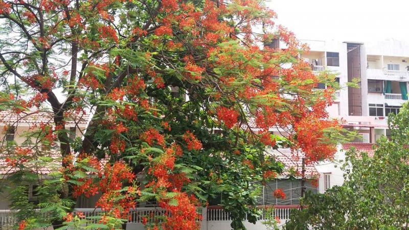 WOW: Look Outside Your Window-  “A BREATHTAKING VIEW “