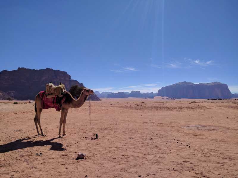 Wadi Rum - A Complete Guide