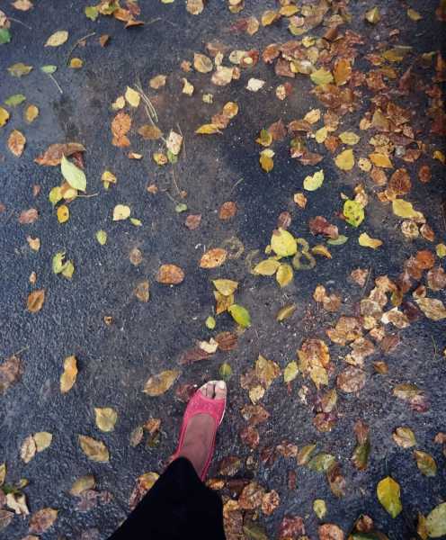 Walking Out Of The Storm