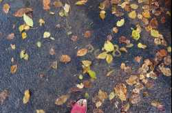 Walking Out of the Storm