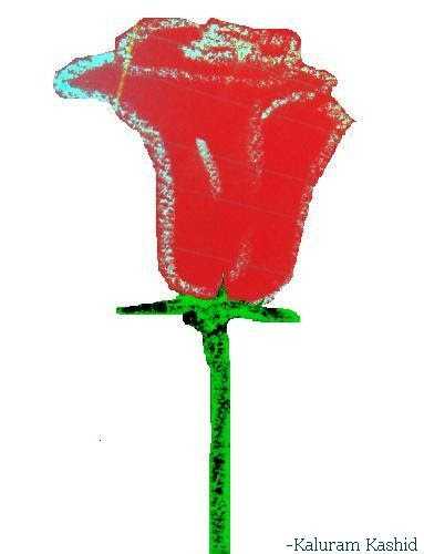 Wallpapers And My Drawings