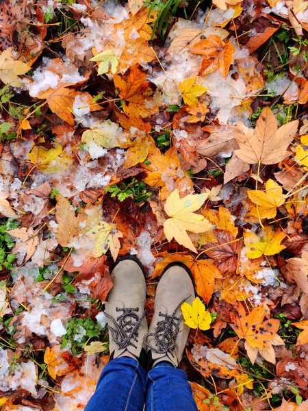 Wander Through Life #WordlessWednesdays - The Write World