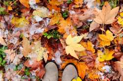 Wander through life #WordlessWednesdays - The Write World