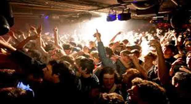 Want To Celebrate New Year