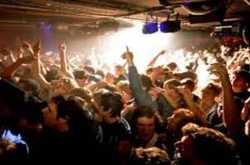 Want to Celebrate New Year\