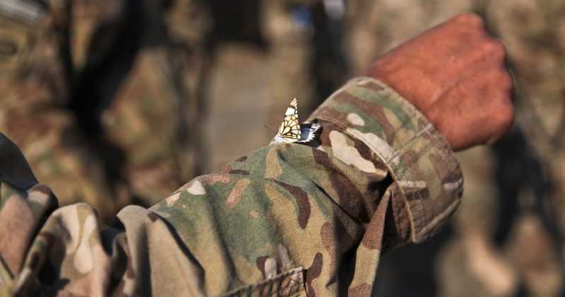 War For Peace - Once And For All