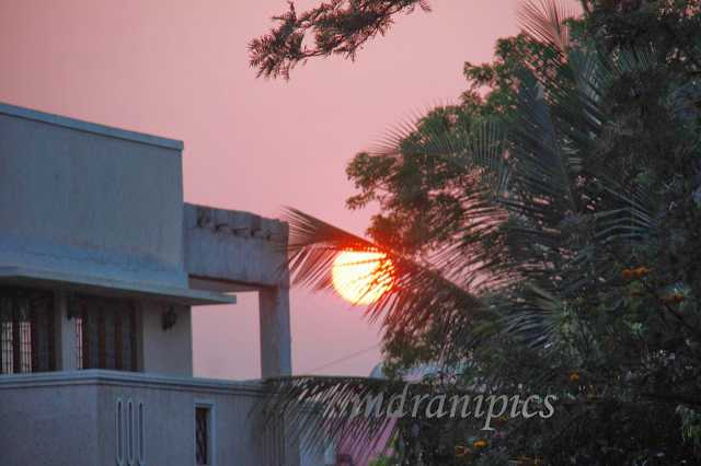 Watching Sunrise In Concrete Jungle Of Bangalore - I Share