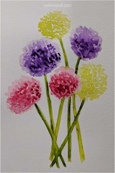 Watercolour- Alliums | Rashmi & I