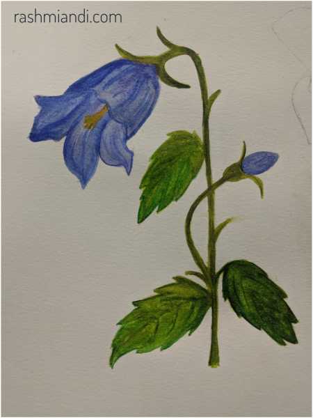 Watercolour- Bluebells | Rashmi & I