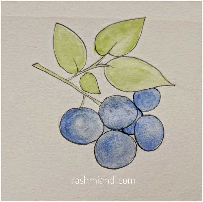 Watercolour-Blueberries | Rashmi & I
