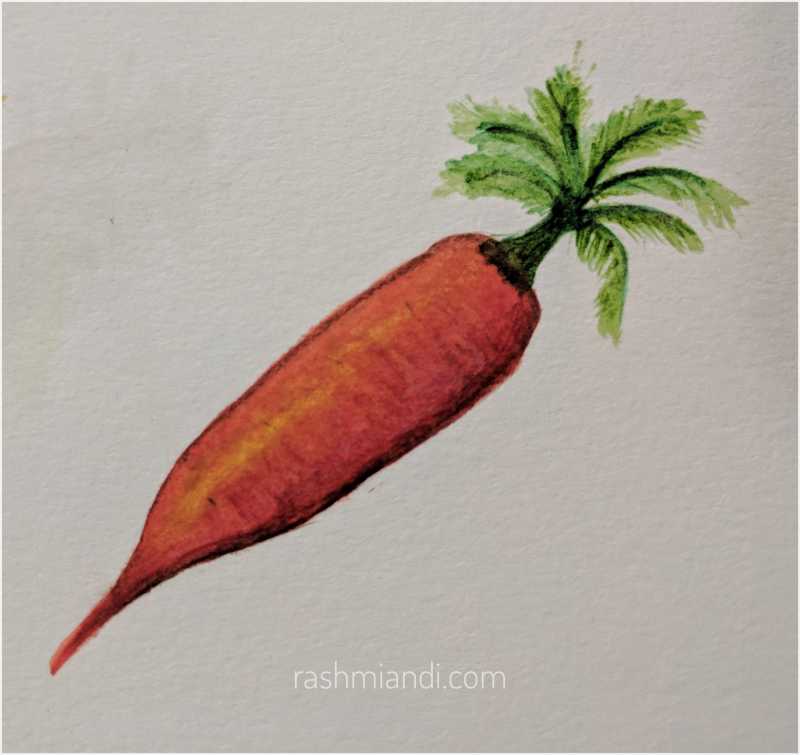 Watercolour- Carrot | Rashmi & I