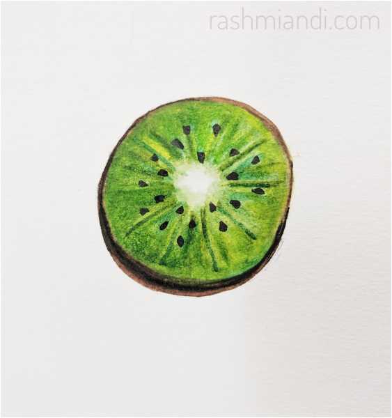 Watercolour- Kiwi | Rashmi & I
