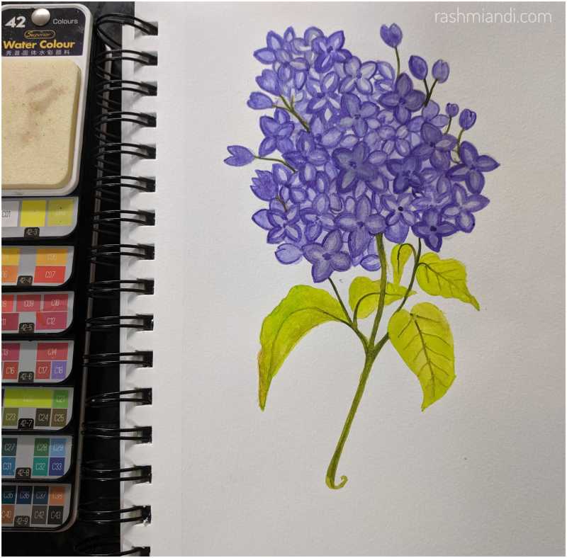 Watercolour- Lilac | Rashmi & I