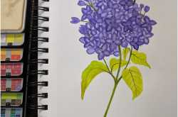 Watercolour- Lilac | Rashmi & I