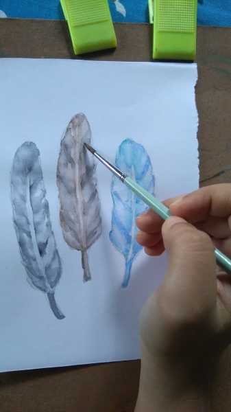 Watercolour Feathers