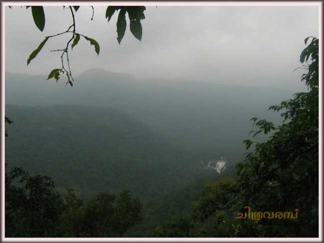 Waterfalls In The Mid-forest