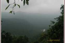 Waterfalls in the mid-forest