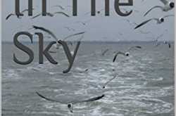 Waves in the Sky (Canaries #1) by Rakhi Jayashankar