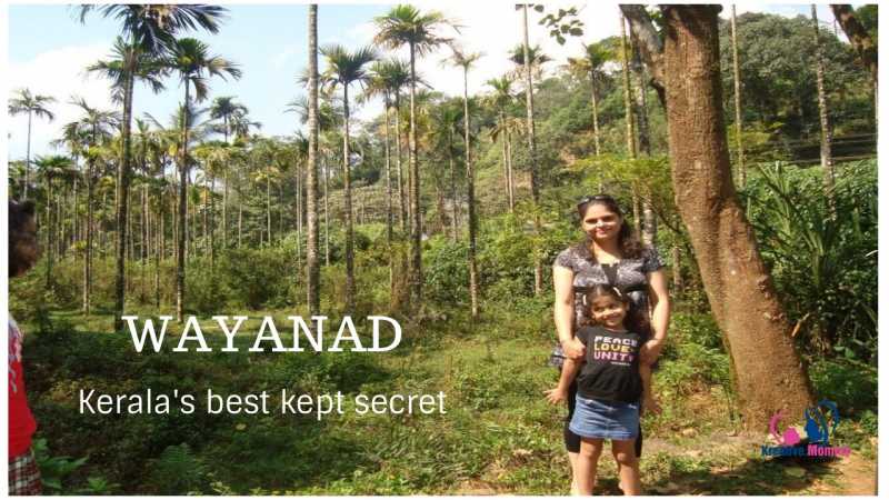 Wayanad - A City Full Of Natural Beauty - Kreativemommy