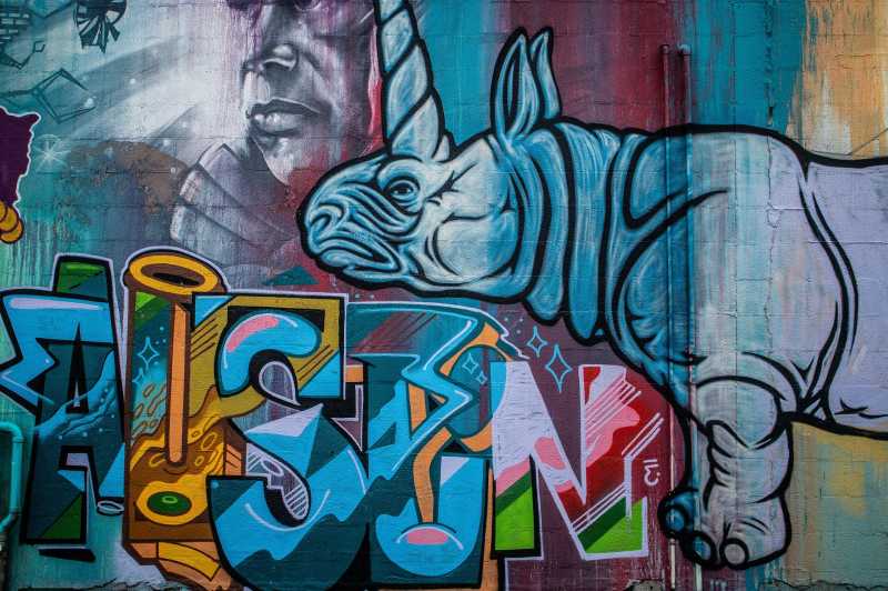 Ways To Soak Up The Culture In Austin Texas