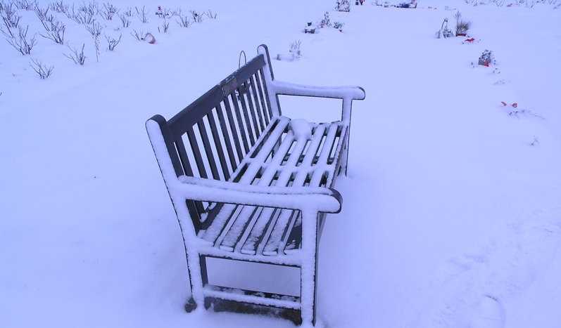 We Die In The Same Grave